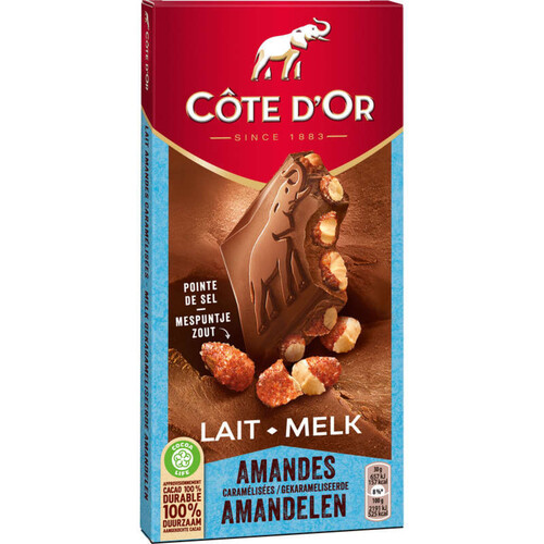 Côte d'Or Tablette Chocolat au Lait à la Pointe de Sel et Amandes 180 g
