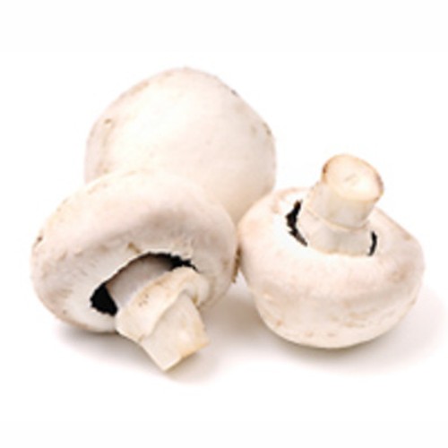 Champignon Blanc de Paris 500g