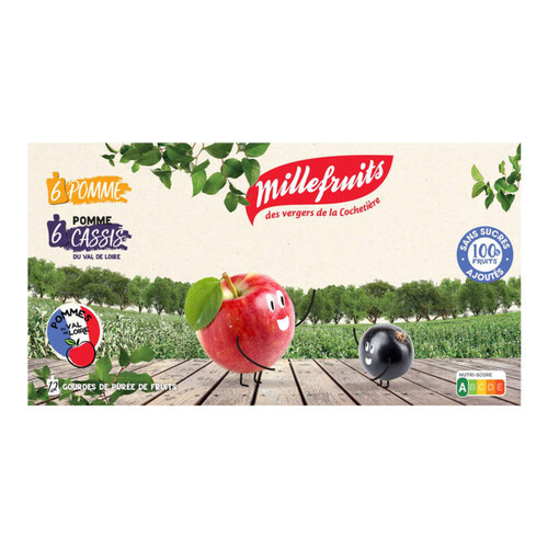 Purée Pommes/Cassis Millefruits Sans Sucres Ajoutés 12x90g