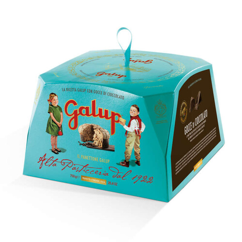 Galup Panettone aux Pépites de Chocolat 750g