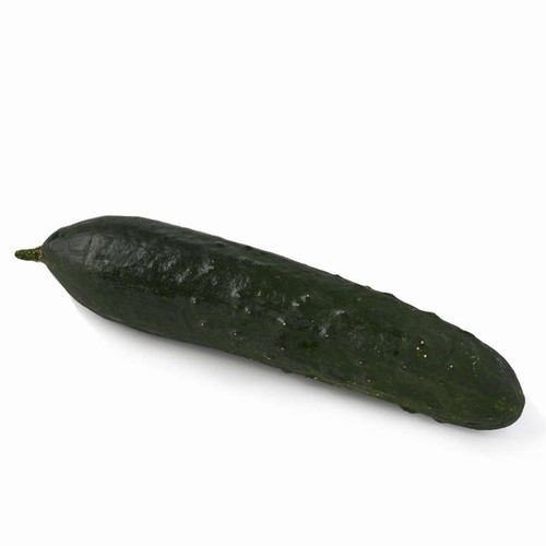 Natoora Concombre Noa x 1 pièce