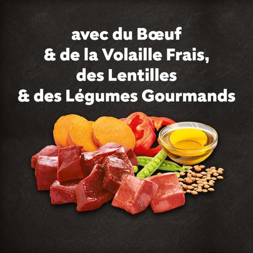 Cesar Croquettes au Bœuf, à la Volaille, aux Lentilles et aux Légumes pour petit Chien adulte 1,4kg