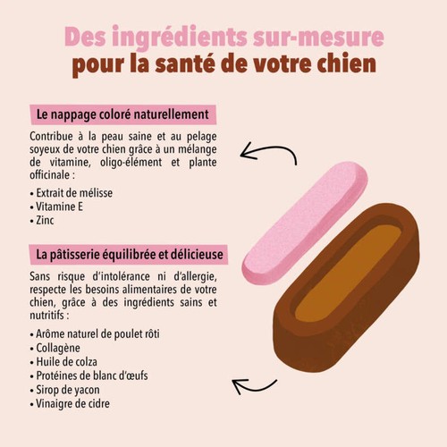 Delamour pâtisserie pour chiens - Le Moelleux Peau et Poils 100g