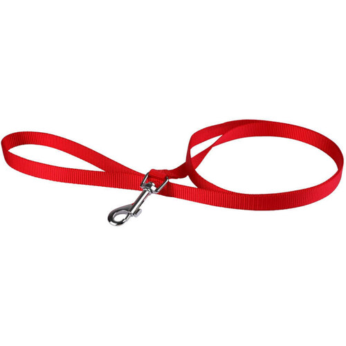 Animalis Laisse Basic 40mm et 50cm pour Chien Rouge