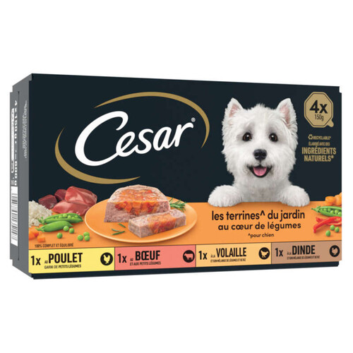 Cesar Barquettes en terrine pour chien au cœur de légumes 4x150g