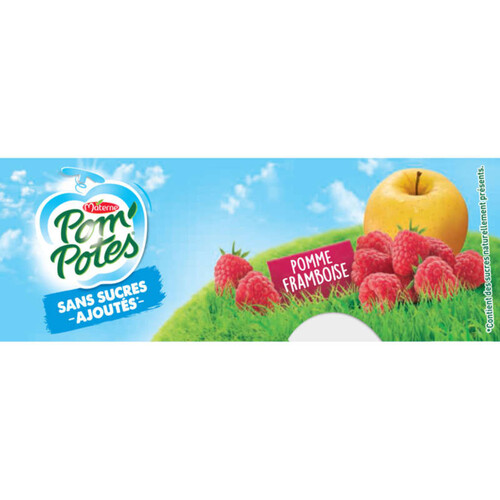 Pom'Potes Spécialité De Fruits Pomme/Framboise, Sans Sucres Ajoutés 4 X 90G