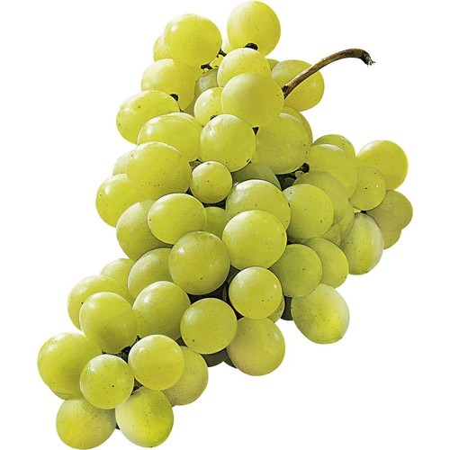Monoprix Raisin Blanc Sans Pépins 500g