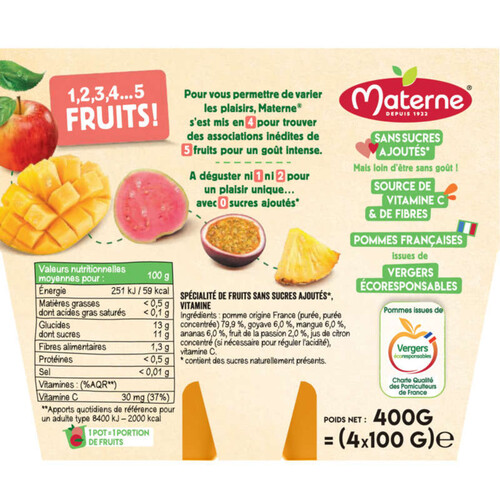 Materne Compotes 5 Fruits Pomme Goyave Mangue Passion 4*100g