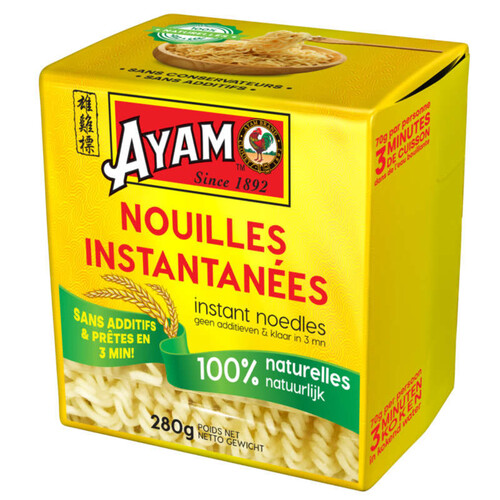 Ayam Nouilles instantanée 280g