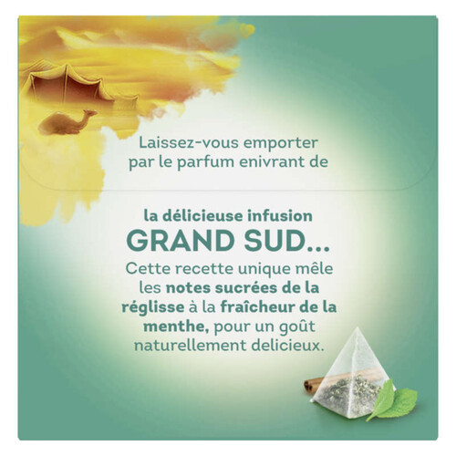 Lipton Infusion Grand Sud Menthe Et Réglisse 20 Sachets Pyramid®