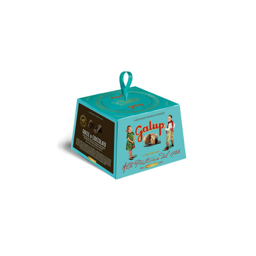 Galup Panettone aux Pépites de Chocolat 100g