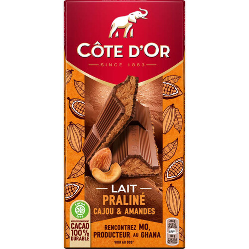 Cote D'Or Chocolat Au Lait Praliné Cajou& Amandes La Tablette De 200G