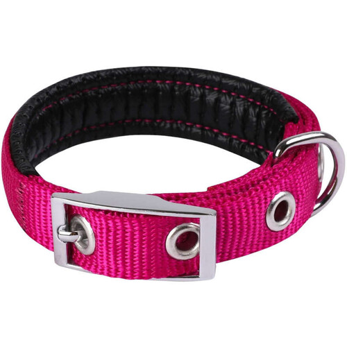 Animalis Collier Basic Confort pour Chien 40mm - 70cm, Fuschia