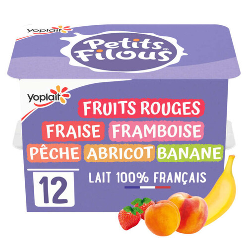 Yoplait petits filous yaourt pour enfants fruits mixes pots 12x50g