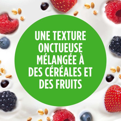 Activia Yaourt Aux Fruits Rouges Et Céréales Bifidus 4x115g