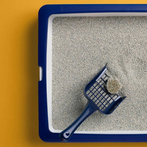 Catsan Litière Minérale Agglomérante Pour Chat 5L
