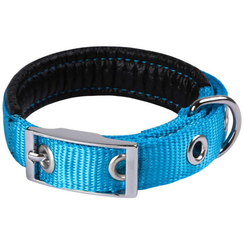 Animalis Collier Basic Confort pour Chien 25mm - 55cm, Bleu