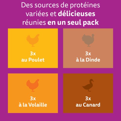 Whiskas Fraîcheur Les Festins à la Volaille en sauce 4 variétés pour chat senior 12x85g