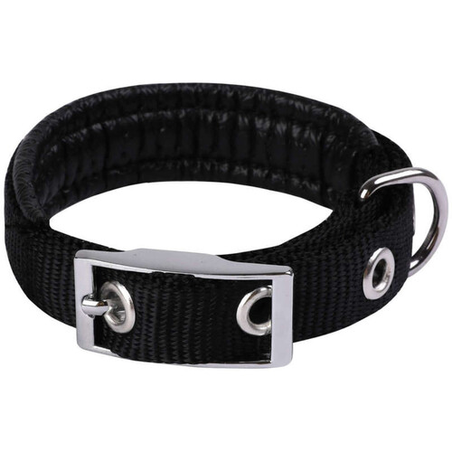 Animalis Collier Basic Confort pour Chien 25mm - 65cm, Noir