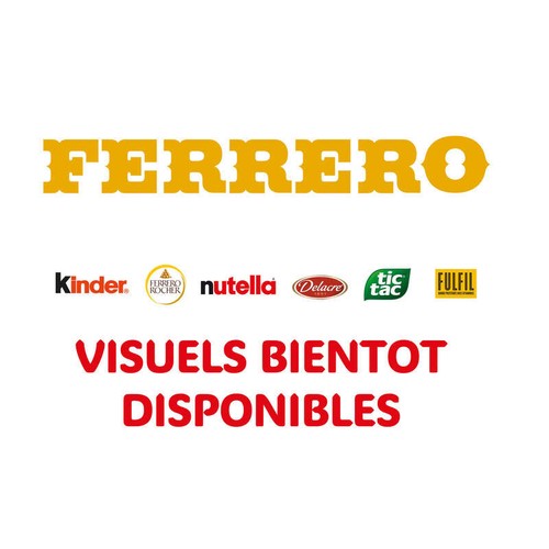 Kinder Joy Œufs Surprises Harry Potter 3x20g