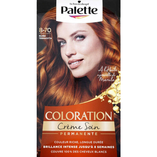 Palette coloration Terracotta Blond 70