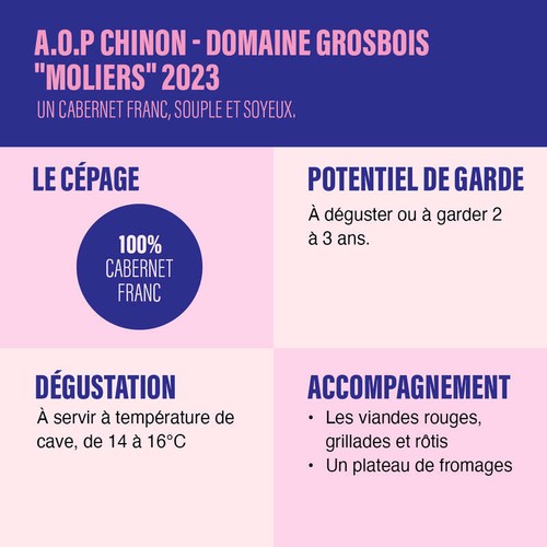 Domaine Grosbois Chinon Moliers Rouge 2023 75cl