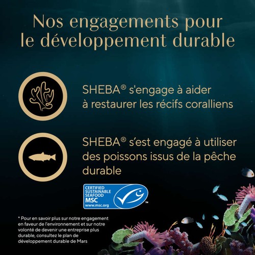 Sheba Filets Au Poulet Et Au Thon Msc Pour Chat Adulte 60g