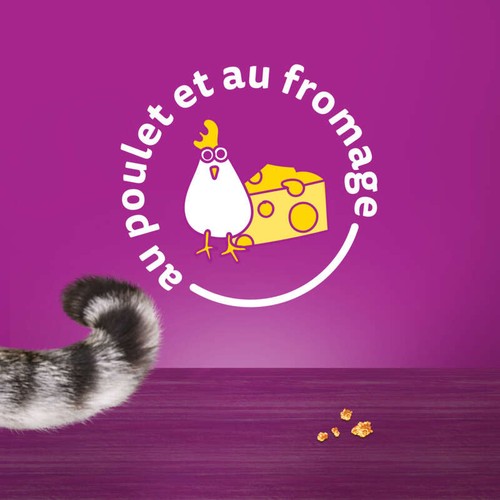 Whiskas Temptations friandises au poulet & fromage 60g - chat adulte