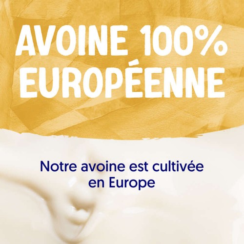 Alpro Boisson Végétale Avoine 1L