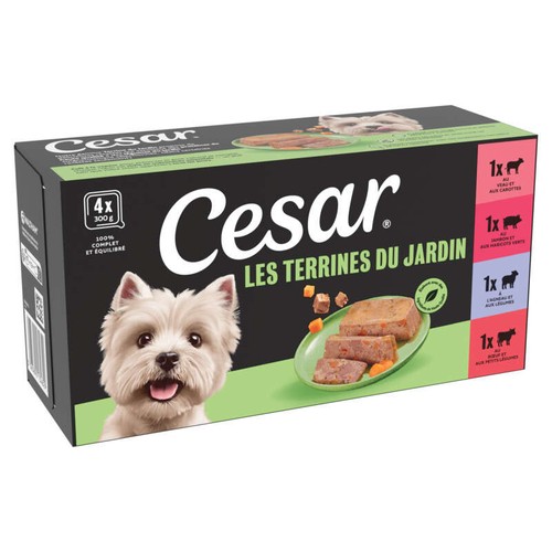 Cesar Barquettes en terrine 4 variétés pour chien 4x300g